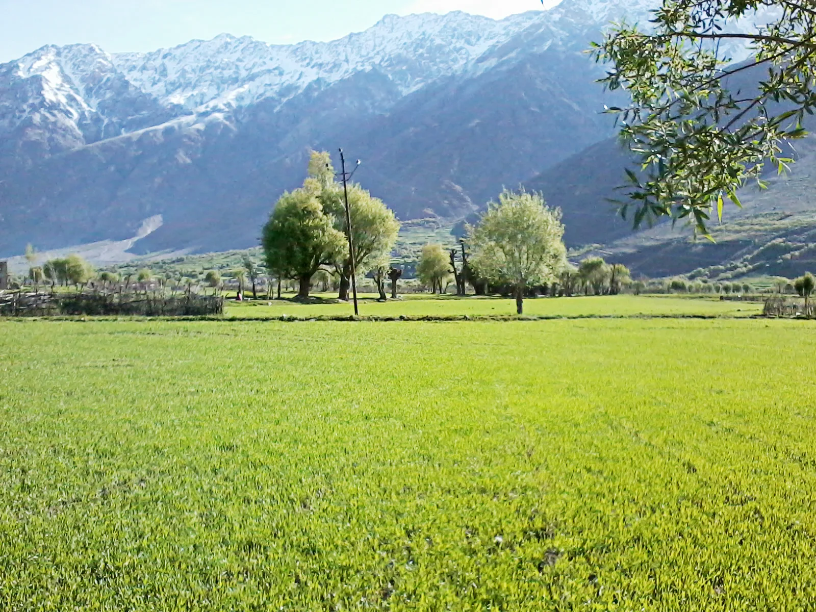Kargil & Drass