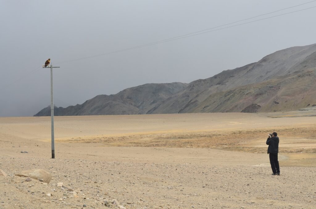 Premium Pangong Hanle Tso Moriri Escape