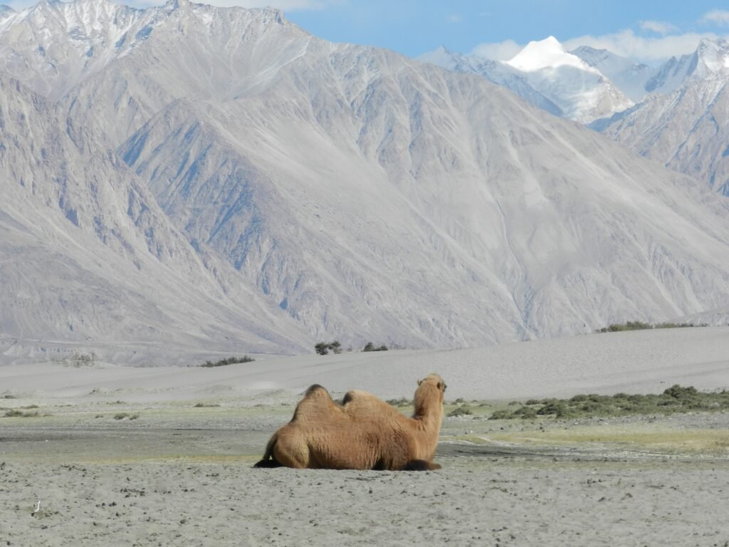 Srinagar to Leh Rider Crossing